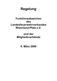 Funktionsabzeichen Verbände - Landesfeuerwehrverband ...