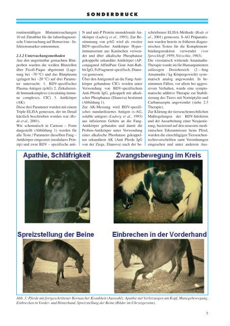 sonderdruck aus tierärztliche umschau - Borna-Borreliose-Herpes