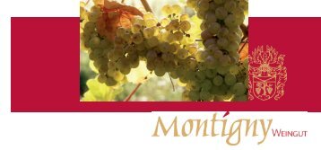 Angebotsliste - Weingut Montigny