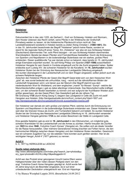 Holsteiner Pferd Pferdezucht Blog Startseite