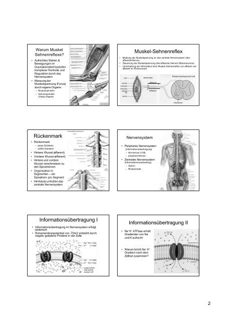 Anamnese Inspektion - Gastroenterologie-tirol.com