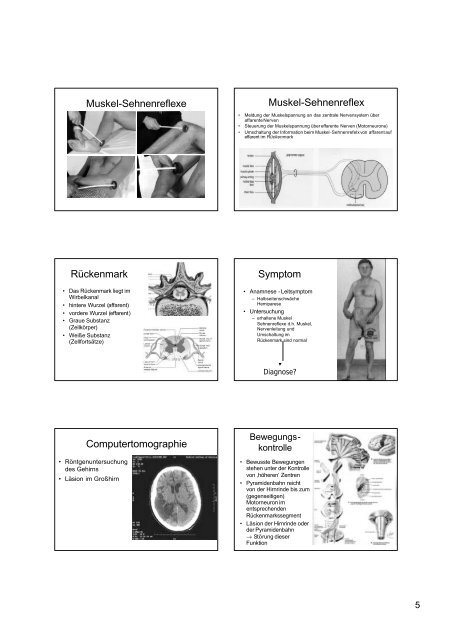 Anamnese Inspektion - Gastroenterologie-tirol.com