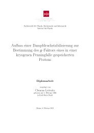 Diploma thesis at the Johannes Gutenberg-University Mainz (2013)