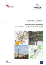 Das Integrierte Handlungskonzept - Stadt Lauterbach