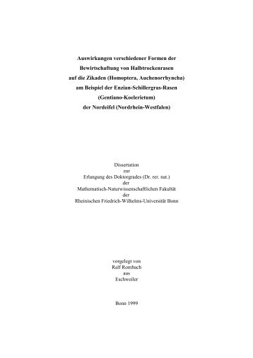 PDF-Format - Publikationen von Ralf Rombach