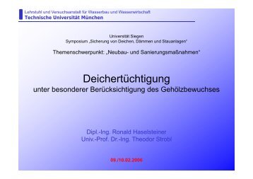 presentation014 (pdf-File) - Dr-haselsteiner.de