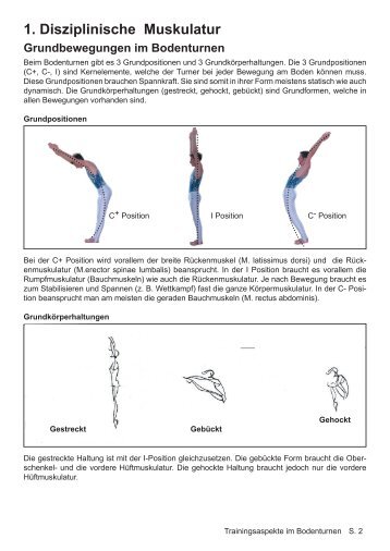 1. Disziplinische Muskulatur