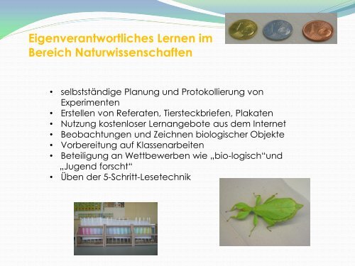 Informationen zu den Ergänzungsstunden in Jahrgang 8