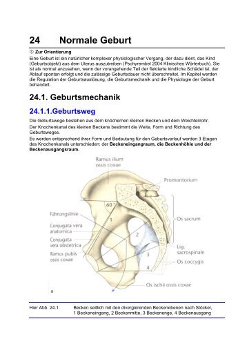 Inhalte für das Eingangstestat des Kreißsaalpraktikums - Geburtshilfe