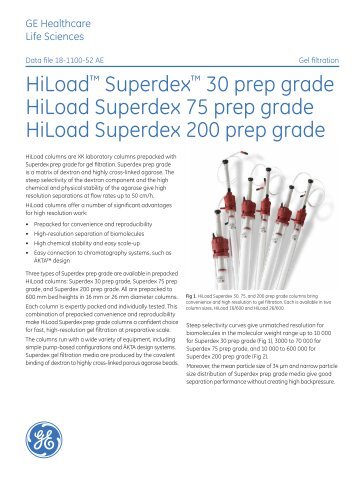 [PDF] Data file: HiLoad Superdex prep grade