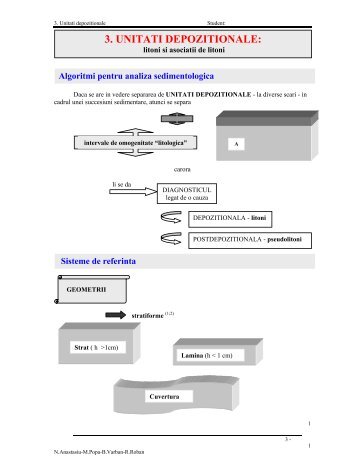 3. UNITATI DEPOZITIONALE: - geo.edu.ro