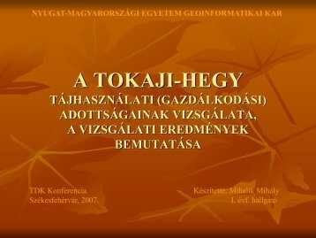 A TOKAJI-HEGY TÁJHASZNÁLATI (GAZDÁLKODÁSI ...