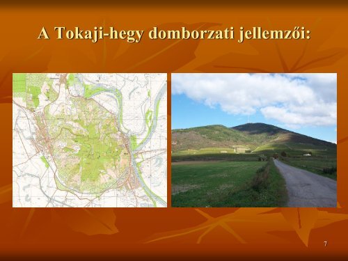 A TOKAJI-HEGY TÁJHASZNÁLATI (GAZDÁLKODÁSI ...