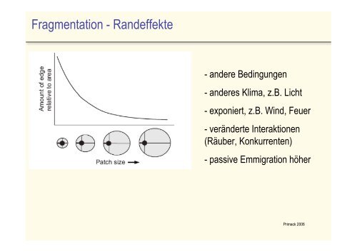 Effekte von Habitatzerstörung - Fragmentierung - Isolation