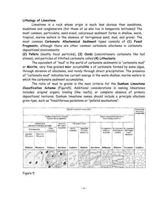 Sedimentary Rocks II