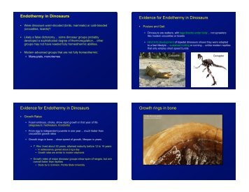 Endothermy in Dinosaurs Evidence for Endothermy in Dinosaurs ...