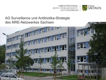 Vortrag Dr. Ingrid Ehrhard zur AG Surveillance und Antibiotika ...