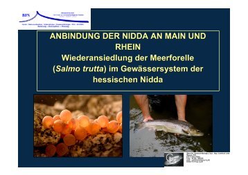 Vortrag 3 Anbindung Der Nidda An Main Und Rhein