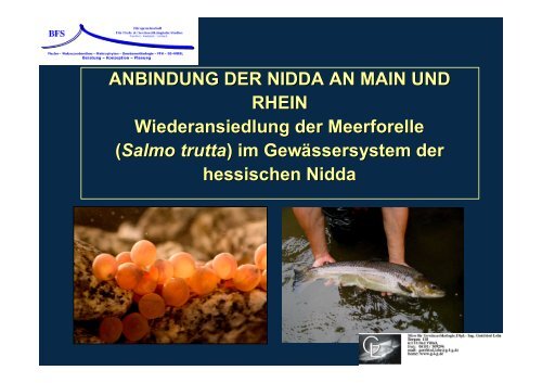 Vortrag 3 Anbindung Der Nidda An Main Und Rhein