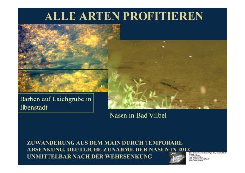 Vortrag 3 Anbindung Der Nidda An Main Und Rhein