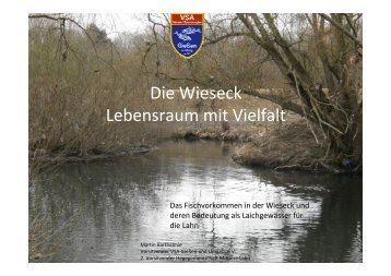 Vortrag 5 Das Fischvorkommen in der Wieseck und deren ...