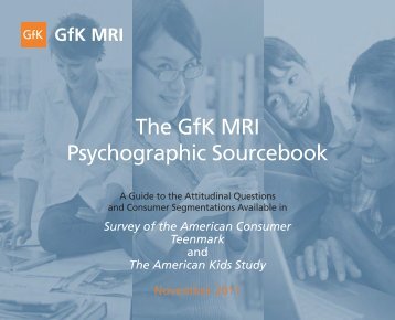 The GfK MRI Psychographic Sourcebook