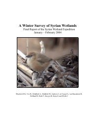 A Winter Survey of Syrian Wetlands - home page