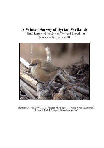 A Winter Survey of Syrian Wetlands - home page