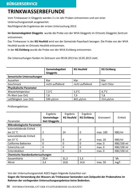 Informationsblatt 2/2013 - Stadtgemeinde Gloggnitz