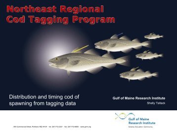 Spawning Information from the Northeast Regional Cod Tagging ...