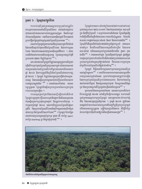 Khmer - Cambodia's Family Trees Part 1 - Global Witness