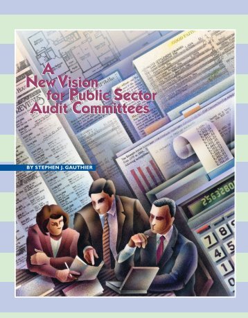 A New Vision for Public Sector Audit Committees - Government ...