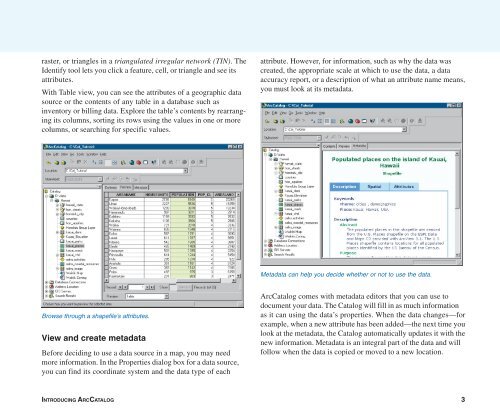 Using ArcCatalog