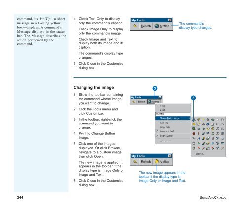 Using ArcCatalog