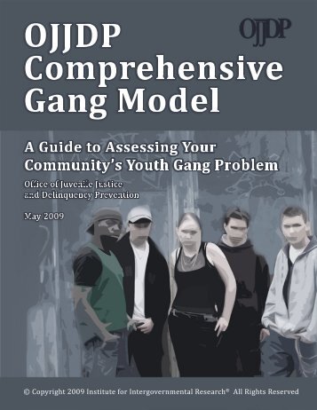 A Guide to Assessing Your Community's Youth Gang Problem