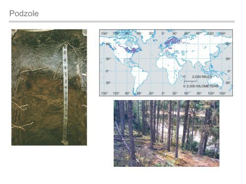 Physische Geographie Nordamerikas