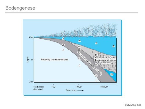 Physische Geographie Nordamerikas