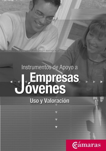 Instrumentos de apoyo a empresas jóvenes - Emekin