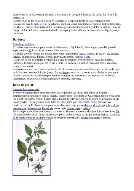 Plantas Medicinales Wikipedia - Gran Fratervidad Tao Gnóstica ...