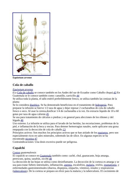 Plantas Medicinales Wikipedia - Gran Fratervidad Tao Gnóstica ...