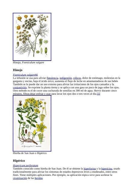 Plantas Medicinales Wikipedia - Gran Fratervidad Tao Gnóstica ...