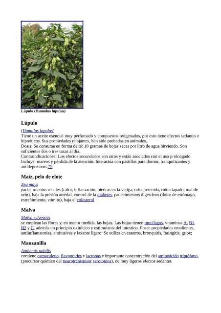 Plantas Medicinales Wikipedia - Gran Fratervidad Tao Gnóstica ...