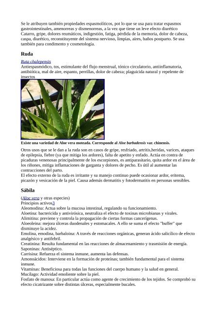 Plantas Medicinales Wikipedia - Gran Fratervidad Tao Gnóstica ...