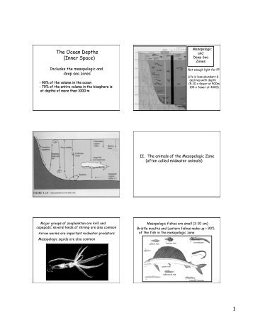 II. The animals of the Mesopelagic Zone (often called midwater ...