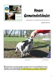 Gemeindeläufer 22 - Gemeinde Warsow