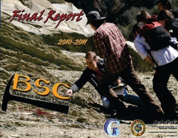 FINAL REPORT FINAL REPORT - geo.edu.ro
