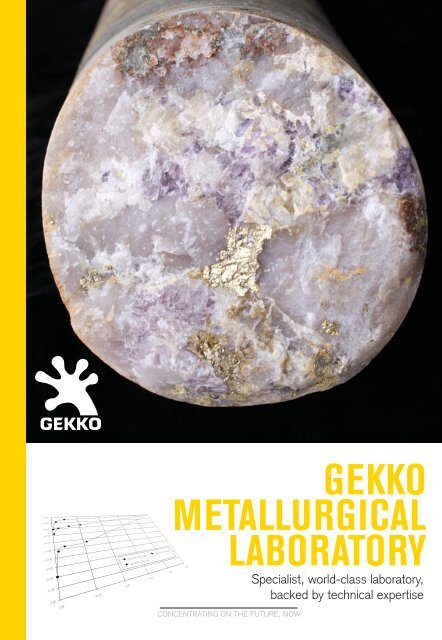 GEKKO METALLURGICAL LABORATORY - Gekko Systems