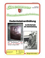 Ausgabe 3 - September 2008 - SIZ