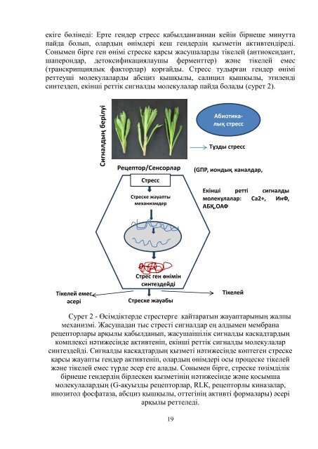 dissertacia-myrzabaeva.pdf