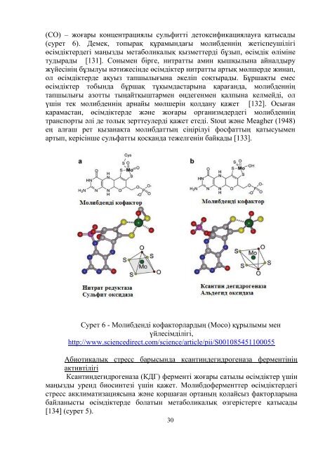 dissertacia-myrzabaeva.pdf